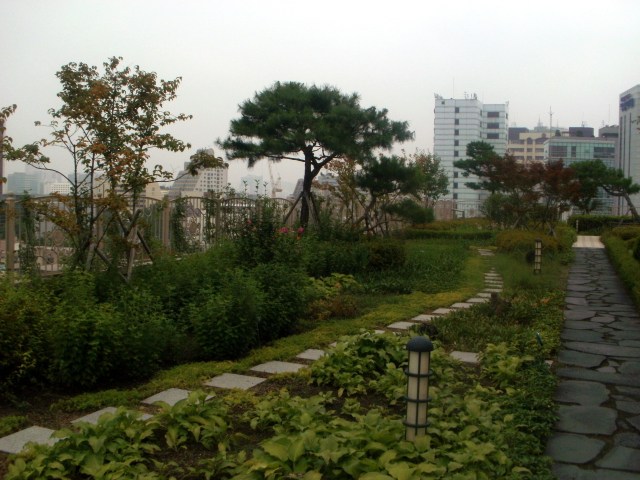 Roof Garden