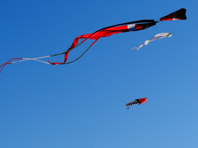 Kites