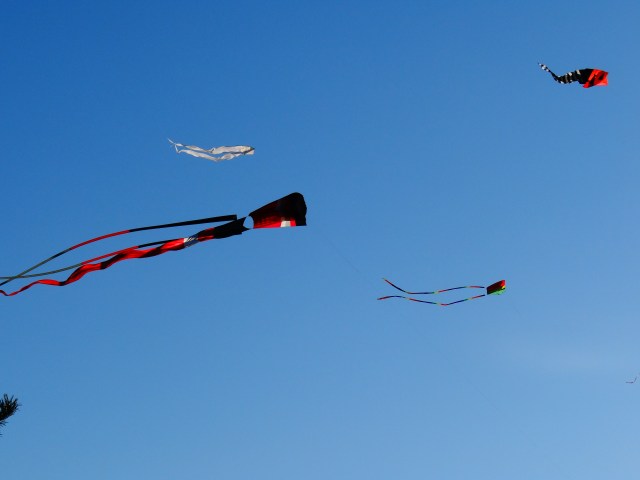 Kites