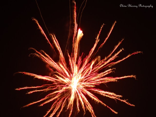 Firework