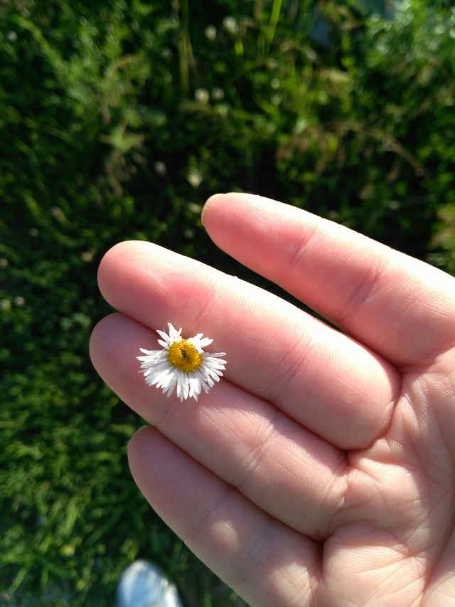 wp-1468540743498 image