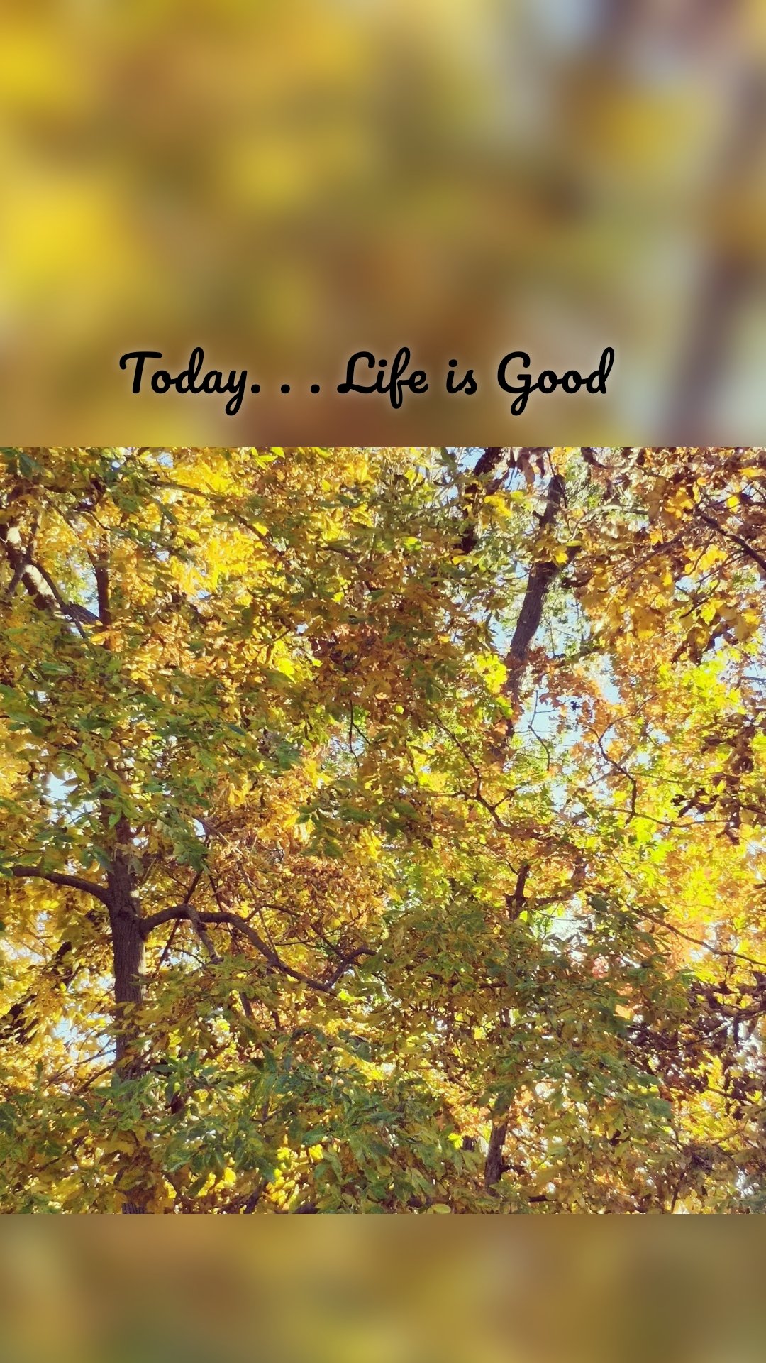Today. . . Life is Good